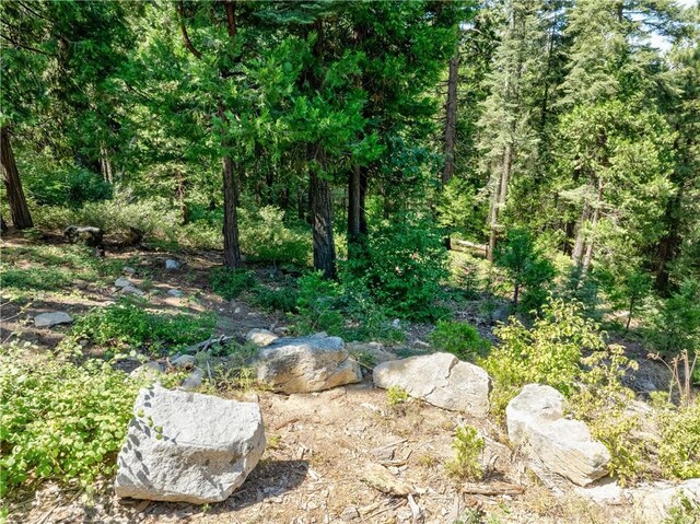 7199 Manzanita Ln, Yosemite, CA 95389 - photo 11