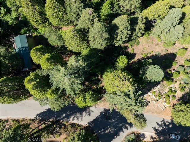7199 Manzanita Ln, Yosemite, CA 95389 - photo 7