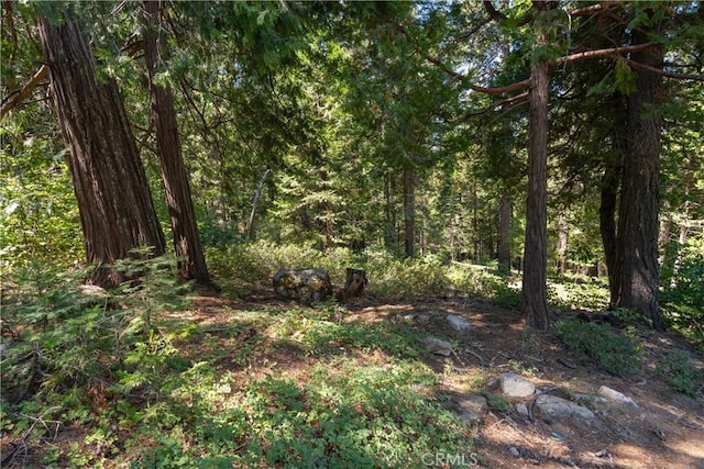 7199 Manzanita Ln, Yosemite, CA 95389 - photo 21