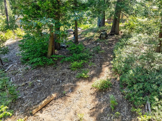 7199 Manzanita Ln, Yosemite, CA 95389 - photo 17
