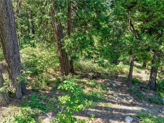 7199 Manzanita Ln, Yosemite, CA 95389 - photo 15