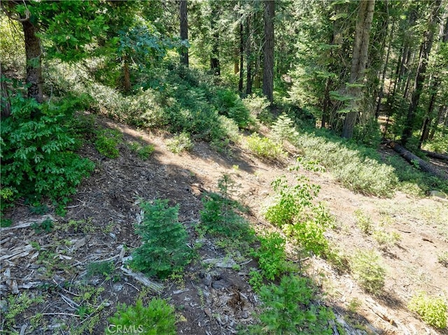 7199 Manzanita Ln, Yosemite, CA 95389 - photo 10