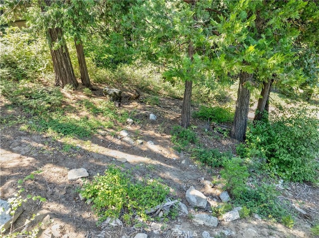 7199 Manzanita Ln, Yosemite, CA 95389 - photo 9