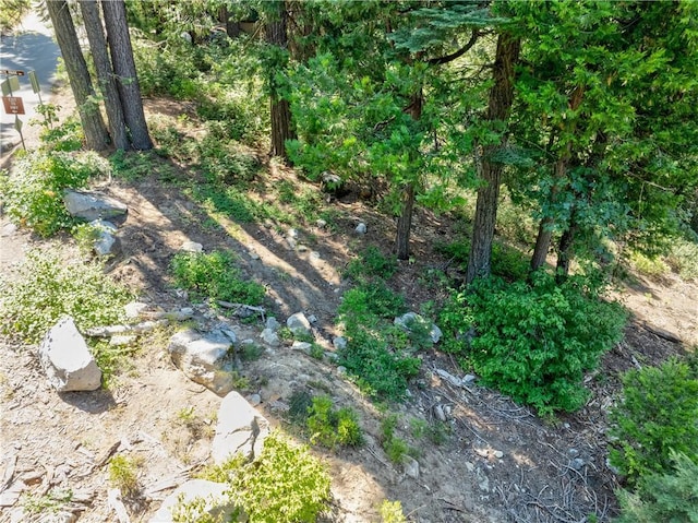 7199 Manzanita Ln, Yosemite, CA 95389 - photo 8