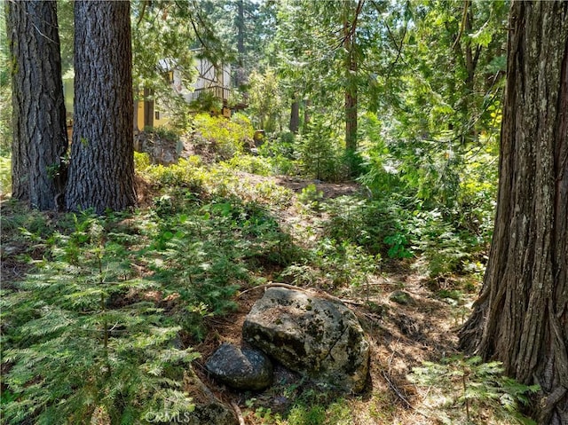 7199 Manzanita Ln, Yosemite, CA 95389 - photo 14