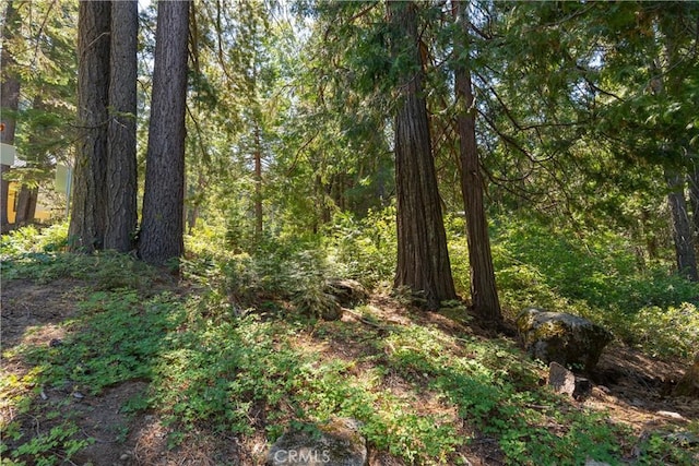 7199 Manzanita Ln, Yosemite, CA 95389 - photo 23