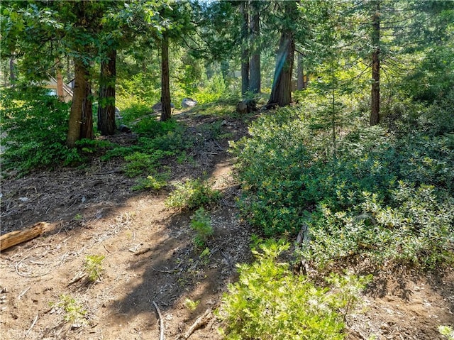 7199 Manzanita Ln, Yosemite, CA 95389 - photo 18