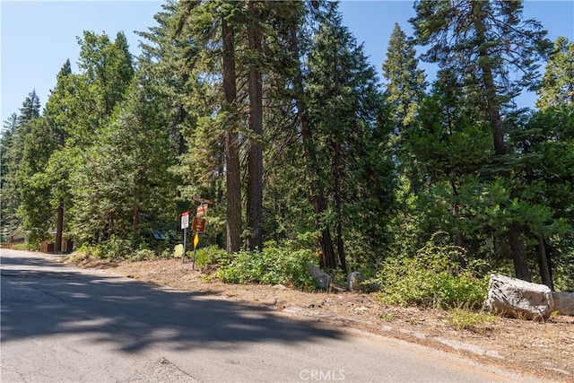 7199 Manzanita Ln, Yosemite, CA 95389 - photo 5
