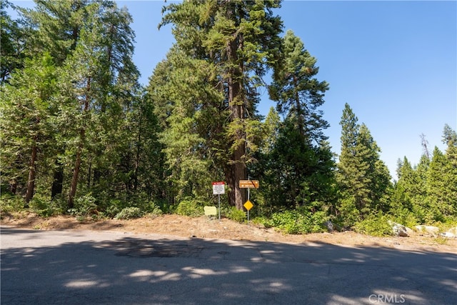 7199 Manzanita Ln, Yosemite, CA 95389 - photo 2