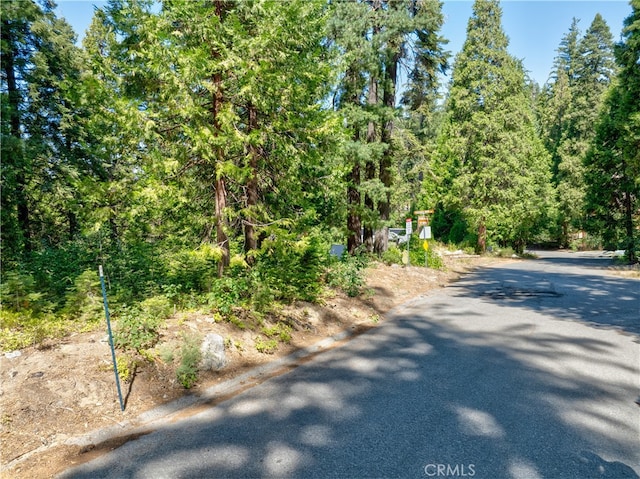 7199 Manzanita Ln, Yosemite, CA 95389 - photo 4