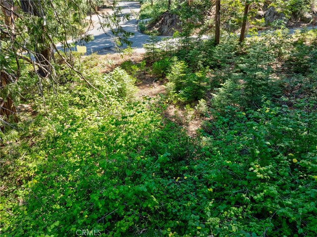 7199 Manzanita Ln, Yosemite, CA 95389 - photo 22