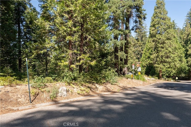 7199 Manzanita Ln, Yosemite, CA 95389 - photo 3