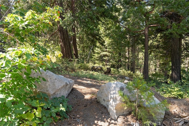 7199 Manzanita Ln, Yosemite, CA 95389 - photo 12