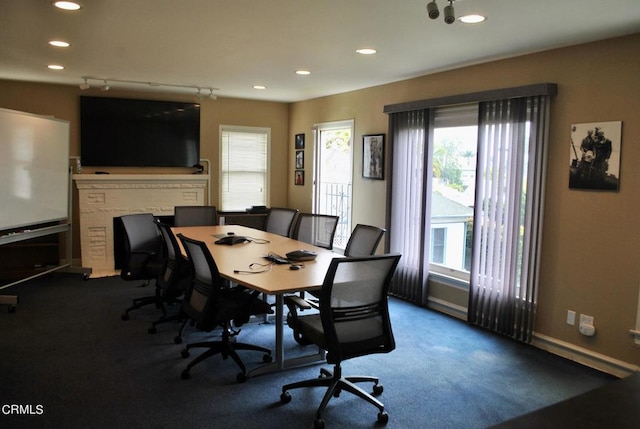 dining room with rail lighting, carpet floors, and a wealth of natural light