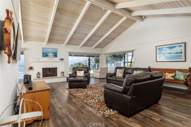 living room featuring beamed ceiling, dark wood-type flooring, and high vaulted ceiling