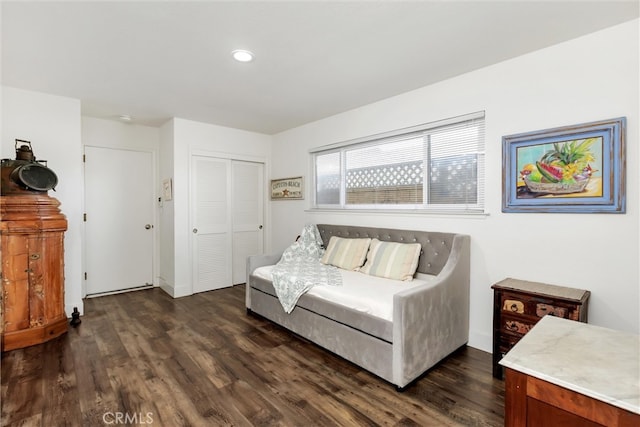 living area featuring dark hardwood / wood-style flooring