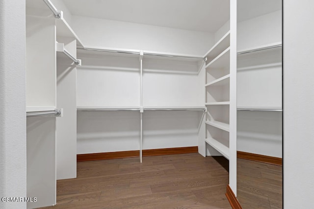 walk in closet featuring wood-type flooring