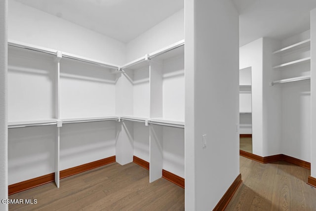 walk in closet with wood-type flooring