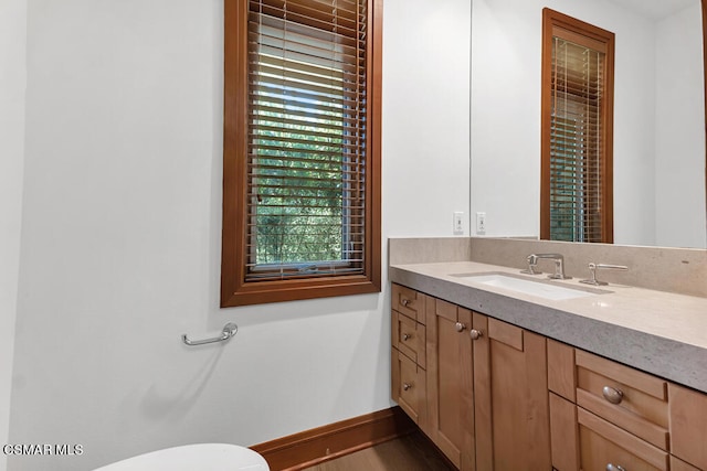 bathroom featuring vanity, toilet, and wood-type flooring