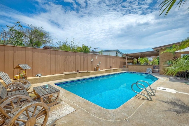 view of pool with a patio area