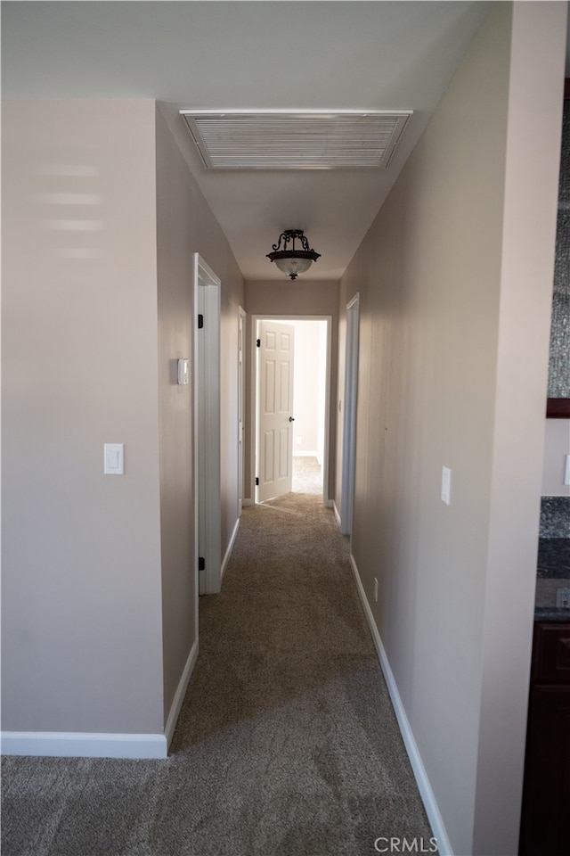 hallway featuring carpet floors