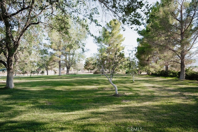 view of home's community with a yard