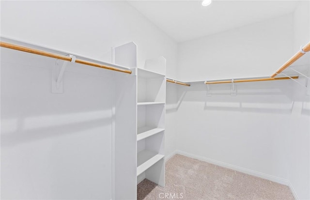 spacious closet with carpet flooring