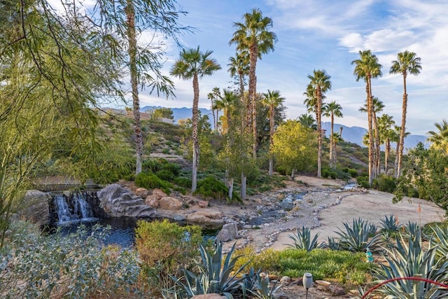 view of local wilderness featuring a mountain view