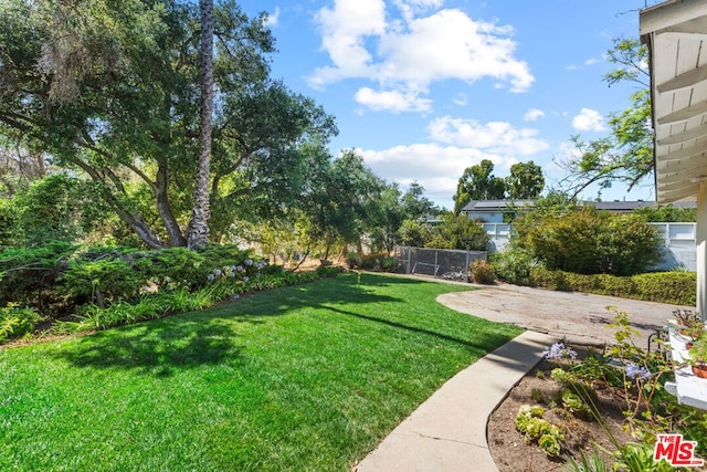 view of yard featuring a patio