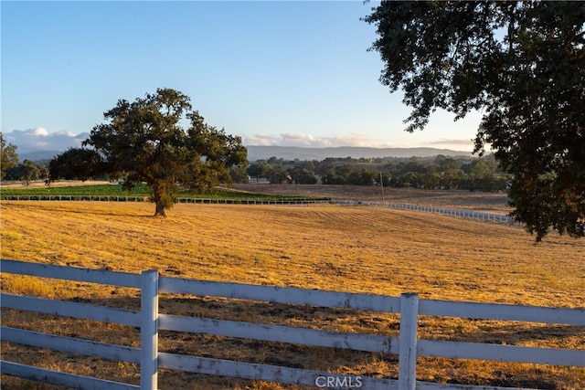 view of yard with a rural view