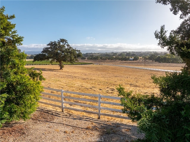 view of yard with a rural view