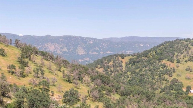 0 Ruth Hill Rd, Squaw Valley CA, 93675 land for sale