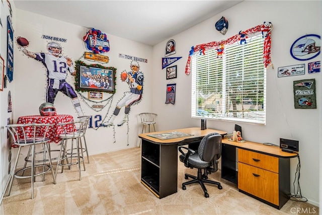 office space with light colored carpet