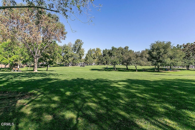 view of home's community featuring a yard