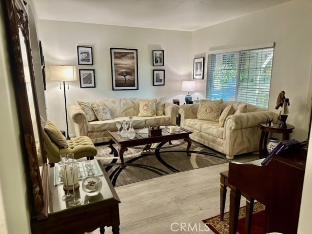 living room with hardwood / wood-style floors