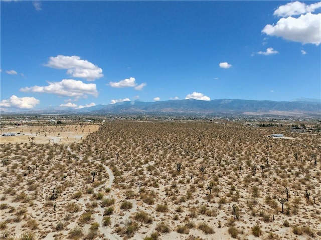 1 Wintergreen Rd, Pinon Hills, CA 92372