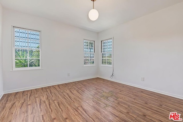 spare room with plenty of natural light and hardwood / wood-style floors