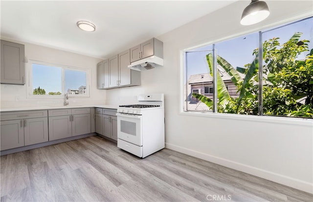 kitchen with sink, white gas stove, gray cabinets, and light hardwood / wood-style flooring