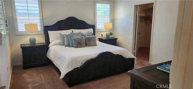 carpeted bedroom with a spacious closet and a closet