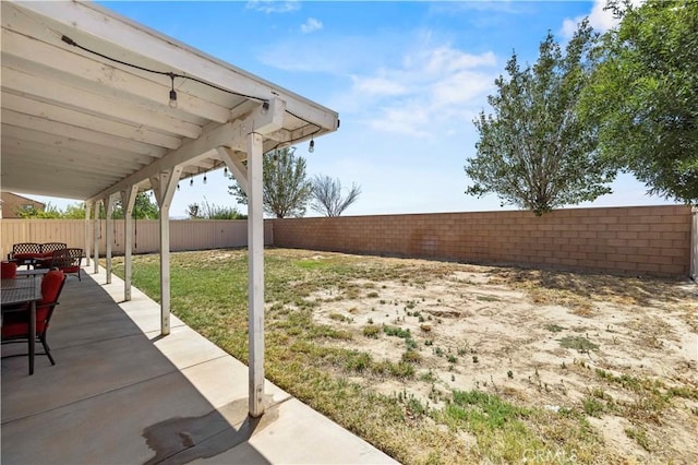 view of yard featuring a patio area