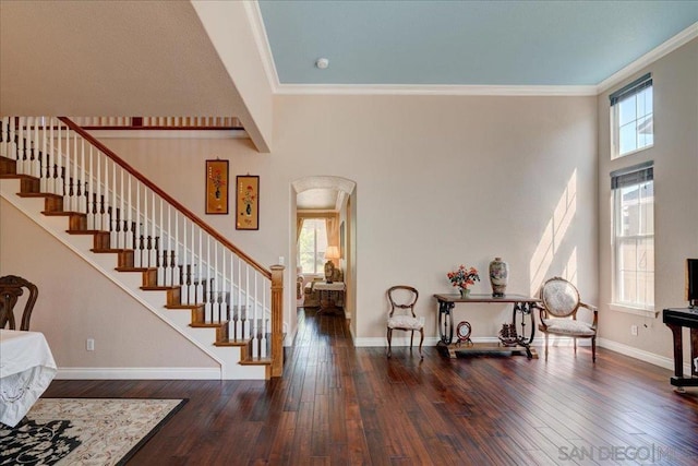 interior space featuring a healthy amount of sunlight, a high ceiling, crown molding, and dark wood-type flooring