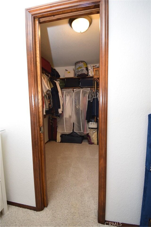 walk in closet featuring carpet floors