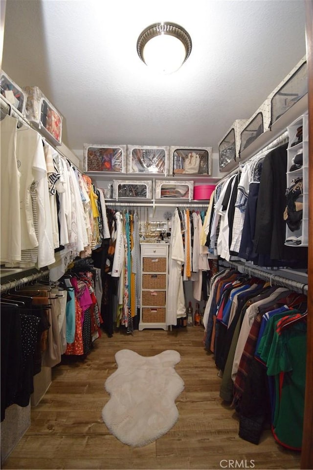 spacious closet with dark hardwood / wood-style floors