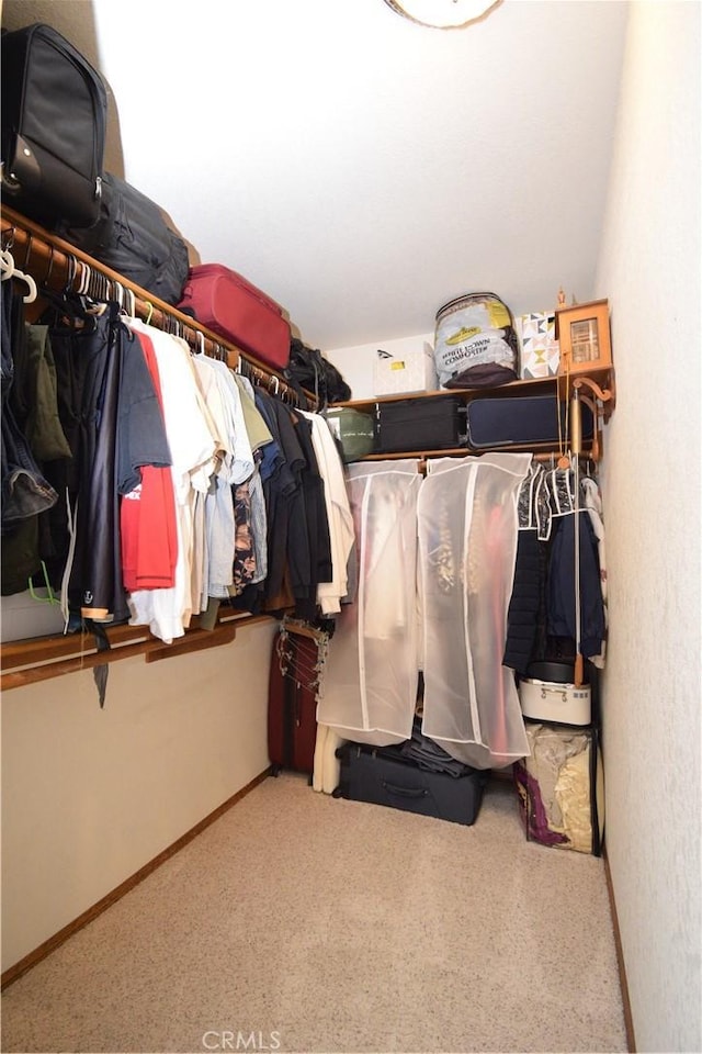 spacious closet with carpet