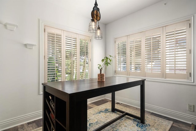 office space with dark hardwood / wood-style flooring