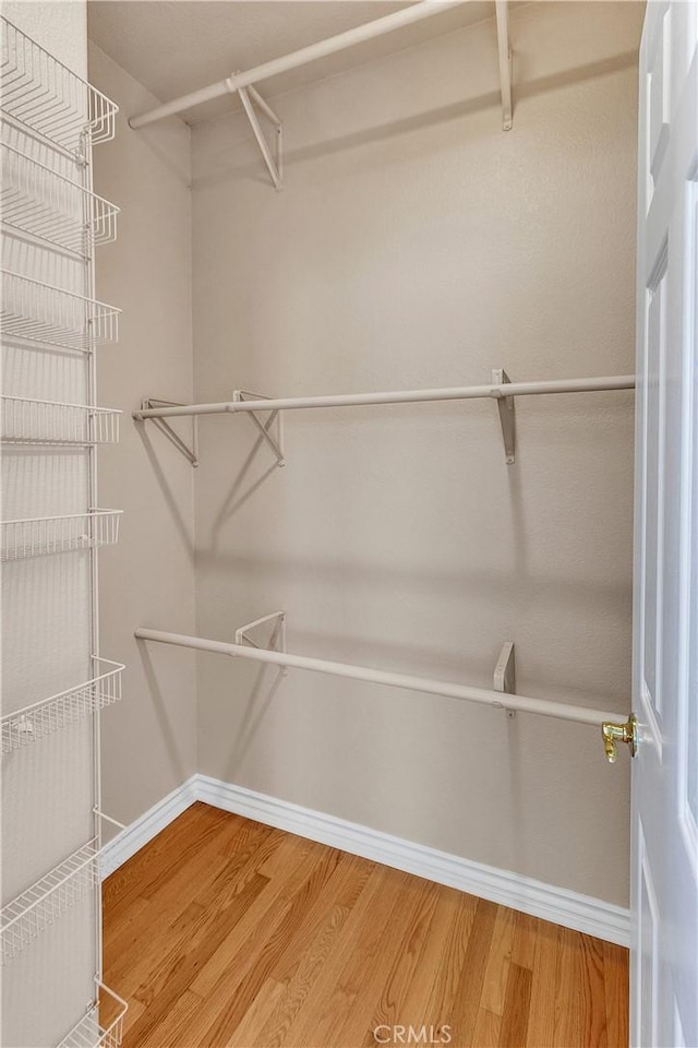 walk in closet with hardwood / wood-style floors