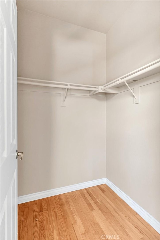 walk in closet featuring wood-type flooring