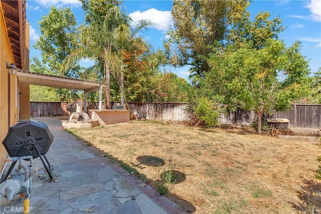 view of yard featuring a patio