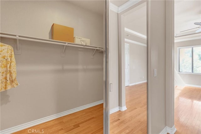 spacious closet with ceiling fan and wood-type flooring