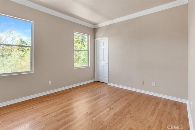 spare room featuring light hardwood / wood-style floors and crown molding